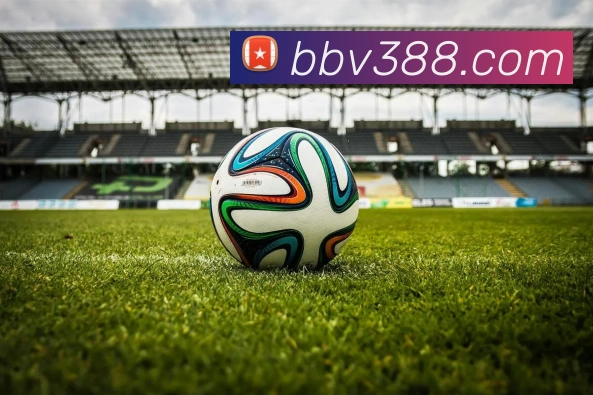 bbv体育官网APP 封面图